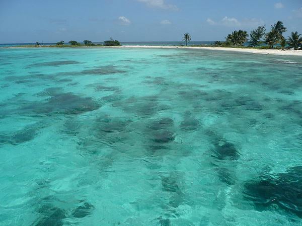 Barreira de Corais de Belize