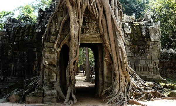 Temples de Angkor Wat, Cambodge