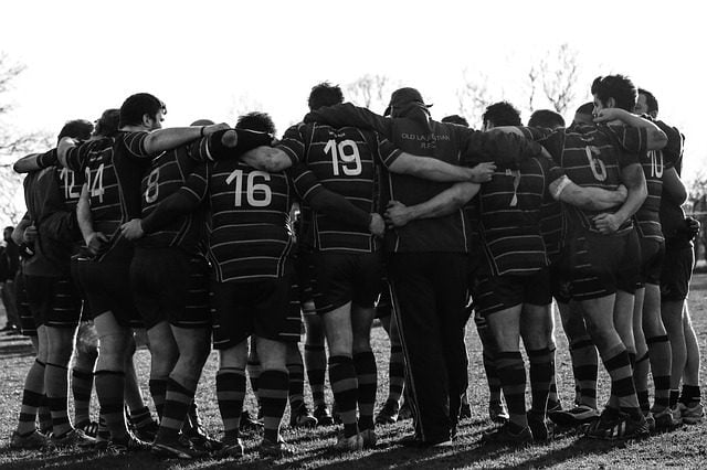rugby all blacks edreams blog di viaggi